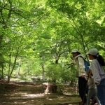 新緑に包まれた再度公園＝４日、神戸市北区山田町下谷上（撮影・丸山桃奈）