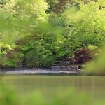 新緑に包まれた再度公園＝４日、神戸市北区山田町下谷上（撮影・丸山桃奈）