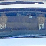 山口組の幹部とみられる人物らを乗せ、兵庫県警本部を出る車両＝４月７日、神戸市中央区