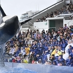 ダイナミックなシャチのショーに夢中になる親子連れら＝６日午前、神戸市須磨区若宮町１、神戸須磨シーワールド（撮影・大田将之）