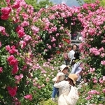 バラのアーチも楽しめる「ローズガーデン」＝神戸市東灘区向洋町中６