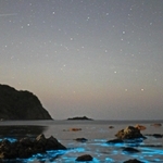 星空と競演。夜の海で青白く光る「夜光虫」＝豊岡市竹野町切浜、大浦湾