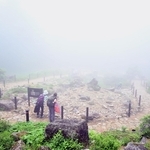 霧に覆われた六甲山上＝２１日、神戸・六甲高山植物園