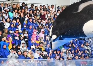 圧巻のシャチのパフォーマンスで盛り上がる観客ら＝１日午後、神戸市須磨区若宮町１、神戸須磨シーワールド