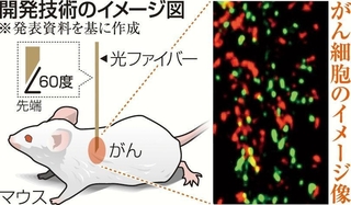 開発技術のイメージ（神戸大がんスコープ細胞）