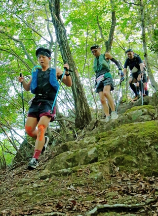 山野を駆け抜けるランナーたち＝６日午前６時11分、丹波市内