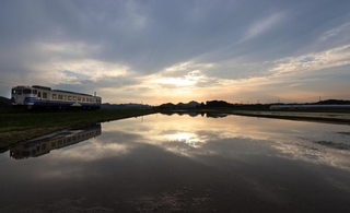 田園地帯を走る北条鉄道。水を張った田んぼに風景が映る＝加西市網引町