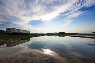 田園地帯を走る北条鉄道。水を張った田んぼに風景が映る＝加西市網引町