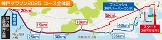 神戸新聞ＮＥＸＴ