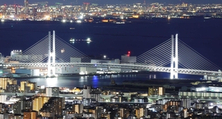夜景の中でひときわ白く輝く東神戸大橋＝神戸市東灘区渦森台から