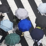梅雨入りし、傘を差す人が行き交う神戸の市街地＝９日午後、神戸市中央区（撮影・笠原次郎）