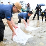 水槽で太らせたイカナゴを放流する市漁業協同組合の漁師ら＝垂水区塩屋町１