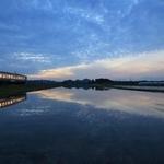 田園地帯を走る北条鉄道。水を張った田んぼに風景が映る＝加西市網引町