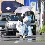 今年初の熱中症警戒アラートが発令され、神戸市街地では道路に「逃げ水」が見られた＝１９日午後、神戸市中央区（撮影・大田将之）
