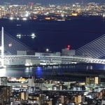 夜景の中でひときわ白く輝く東神戸大橋＝神戸市東灘区渦森台から