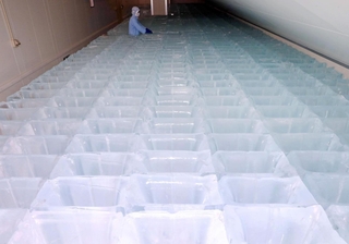 透明度の高い氷柱が並ぶ製氷工場＝１日午後、兵庫県太子町糸井