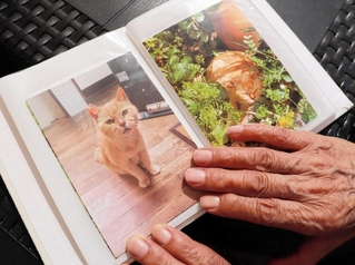 家猫として過ごした晩年の「ご隠居さん」の写真を手にする女性