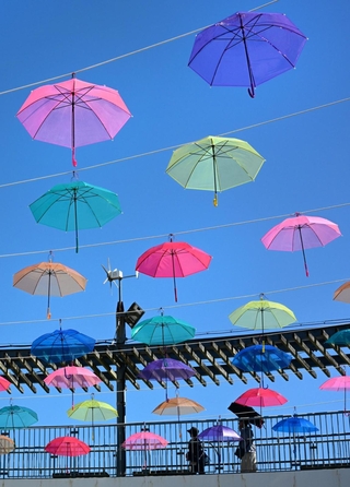 夏空をカラフルに彩る傘＝淡路市夢舞台、国営明石海峡公園（撮影・大田将之）