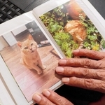 家猫として過ごした晩年の「ご隠居さん」の写真を手にする女性