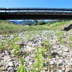 雨が降らず、水がなくなった大栃川＝兵庫県新温泉町諸寄（撮影・長谷部崇）