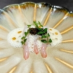 甘エビに神戸産のみそと豆乳を泡立てたソースをかけ、朝倉サンショウを添えた料理。器は丹波焼だ＝神戸市中央区生田町２、祇是