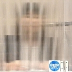 立花孝志氏に対する刑事告訴が受理され、会見をする竹内英明前兵庫県議の妻(右)=8日午後、神戸市中央区元町通4(撮影・斎藤雅志)