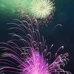 通常の打ち上げ花火の下で爆発した花火（淡路市提供）