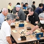 盤上で熱戦が繰り広げられた姫路地区大会＝姫路市市民会館