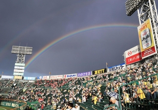 広島戦を前に甲子園球場の上空に架かった虹＝５日午後、西宮市の甲子園球場（撮影・小林良多）