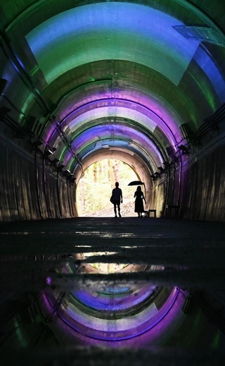 秋の七草をイメージして紫や青、緑にライトアップされたトンネル内＝神戸市北区山田町