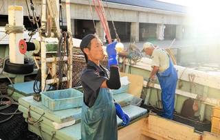 ベニズワイガニの水揚げの合間に水分を補給する漁師＝香住漁港西港