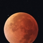 満月が赤銅色に変身した皆既月食＝８日午前３時２２分、神戸市垂水区から（撮影・小林良多）