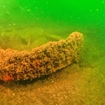 漁礁になった神戸市電の車両の一部＝９月撮影（宮道成彦さん提供）