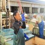 ベニズワイガニの水揚げの合間に水分を補給する漁師＝香住漁港西港