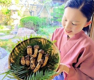 初競りで落札されたマツタケ。今年は猛暑が続いたが、お盆以降の雨で豊作の気配があるという＝丹波篠山市二階町、料理旅館「近又」