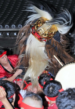 力強く舞い踊る毛獅子＝14日夜、姫路市大塩町汐咲１、大塩天満宮（撮影・後藤亮平）