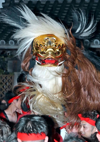 力強く舞い踊る毛獅子＝14日夜、姫路市大塩町汐咲１、大塩天満宮（撮影・後藤亮平）