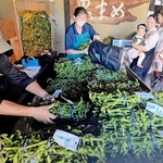 販売が解禁された黒枝豆を買い求める客ら＝１０日午前、丹波篠山市立町