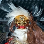 力強く舞い踊る毛獅子＝14日夜、姫路市大塩町汐咲１、大塩天満宮（撮影・後藤亮平）