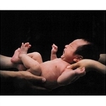 県知事賞に輝いた秀平恵子さんの「誕生」（３枚組み）