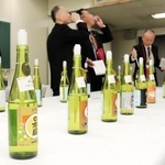 清酒の品質を確かめる酒造関係者ら＝大阪市中央区大手前１