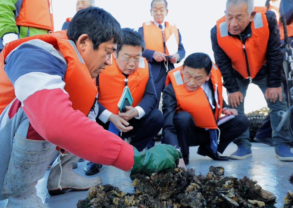 養殖ガキ大量死「想像以上にひどい」 たつのと赤穂の漁港、国会議員ら
