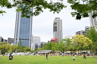 リニューアルで緑の芝生が敷き詰められた東遊園地＝２０２３年４月、神戸市中央区加納町６