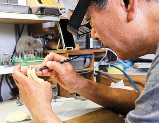 模型を使って補てつ物を作る歯科技工士の泉敏治さん＝尼崎市西昆陽２、ハイテックデンタルラボラトリー