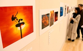 個性豊かな写真が展示されている県写真作家協会展・同協会公募展＝神戸市灘区原田通３、原田の森ギャラリー