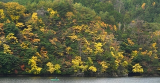 湖畔を染める色づいた木々＝朝来市生野町、銀山湖