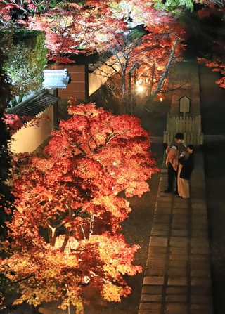 静かな境内でライトアップされる紅葉＝川西市満願寺町