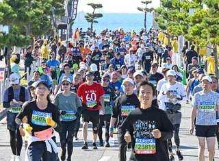 西へと延伸されて折り返しとなった明石・大蔵海岸付近で松や海を背に走る人たち＝１６日、明石市大蔵海岸通２（撮影・風斗雅博）