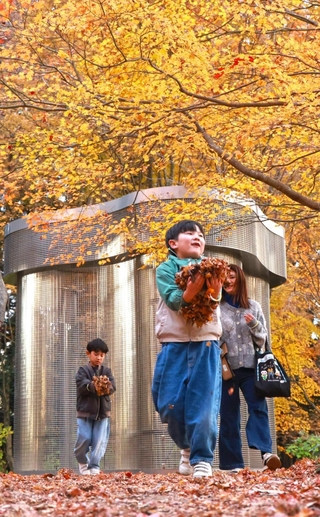 現代アートのそばで、落ち葉を集めて遊ぶ子どもたち＝２４日午後、神戸市灘区六甲山町（撮影・鈴木雅之）