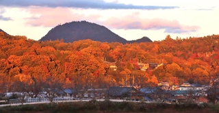 紅葉した木々の上をクジラが泳いでいるように見える＝三田市川除から